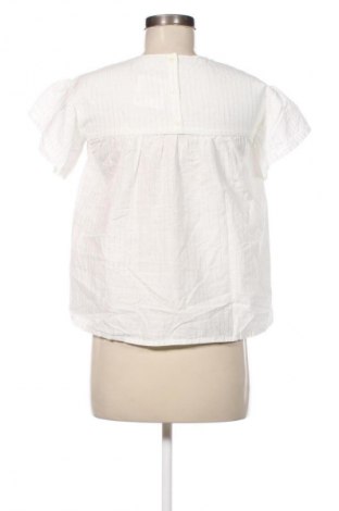 Damen Shirt Zara Trafaluc, Größe S, Farbe Weiß, Preis 7,99 €