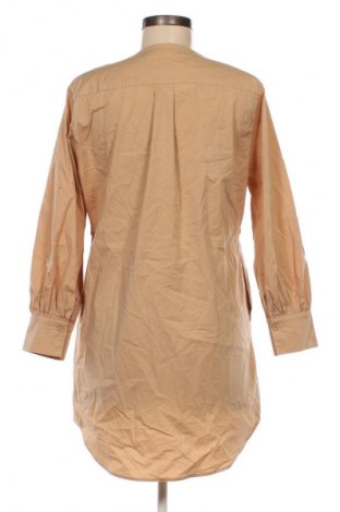 Damenbluse, Größe M, Farbe Beige, Preis € 7,49