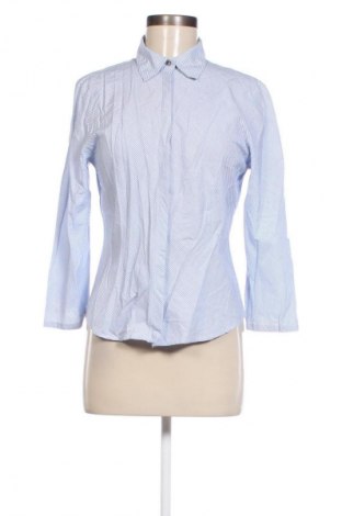 Damenbluse Loft By Ann Taylor, Größe S, Farbe Blau, Preis € 15,99