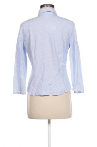 Damenbluse Loft By Ann Taylor, Größe S, Farbe Blau, Preis € 15,99