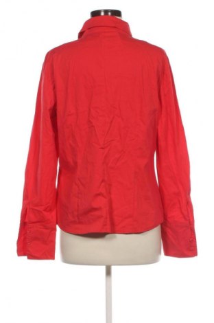 Damenbluse Betty Barclay, Größe L, Farbe Rot, Preis 13,99 €