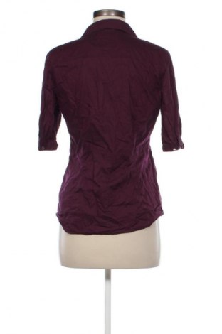 Damenbluse Esprit, Größe S, Farbe Lila, Preis 15,79 €