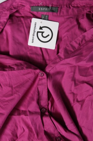 Damenbluse Esprit, Größe M, Farbe Rosa, Preis € 12,49