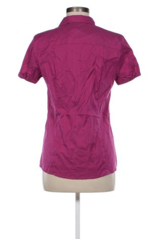 Damenbluse Esprit, Größe M, Farbe Rosa, Preis 12,49 €