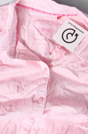 Damenbluse Esprit, Größe XS, Farbe Rosa, Preis € 8,99