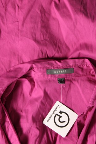 Damenbluse Esprit, Größe S, Farbe Rosa, Preis 12,49 €