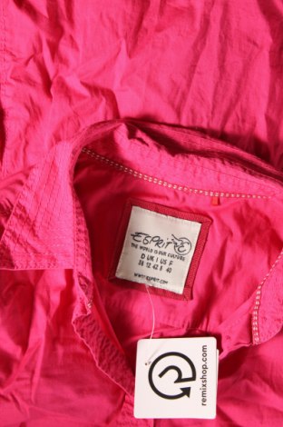 Damenbluse Esprit, Größe M, Farbe Rosa, Preis 8,99 €