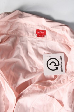 Damenbluse Esprit, Größe L, Farbe Rosa, Preis € 12,49