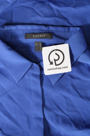 Damenbluse Esprit, Größe XL, Farbe Blau, Preis € 23,99