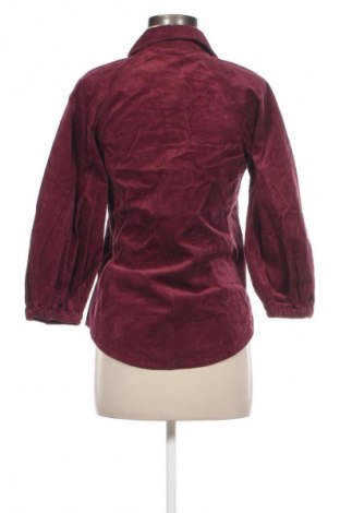 Damenbluse French Connection, Größe S, Farbe Lila, Preis 33,79 €