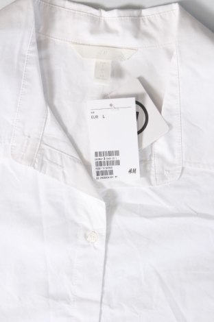 Damenbluse H&M, Größe L, Farbe Weiß, Preis € 13,49