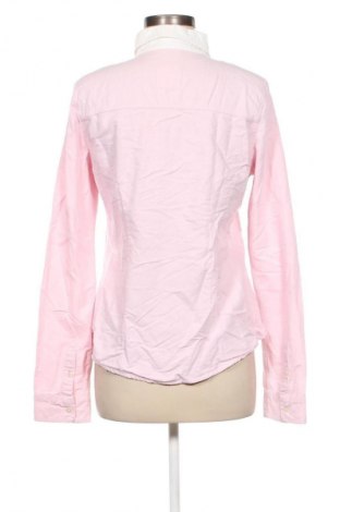 Damenbluse Hollister, Größe L, Farbe Rosa, Preis € 23,99