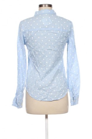 Damenbluse Hollister, Größe S, Farbe Blau, Preis € 23,99