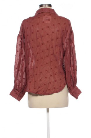 Damenbluse Pull&Bear, Größe XS, Farbe Braun, Preis € 8,49