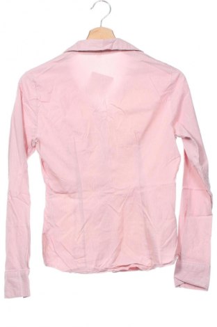 Damenbluse Tessuto, Größe M, Farbe Rosa, Preis 6,99 €