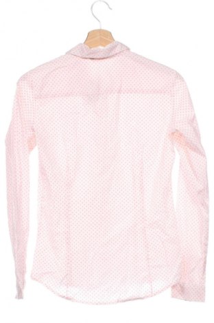 Damenbluse Tom Tailor, Größe XS, Farbe Mehrfarbig, Preis 10,99 €