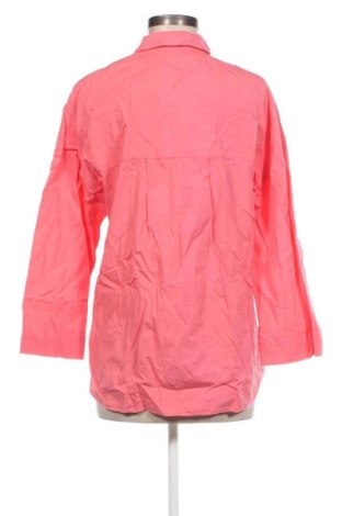 Damenbluse Zara Trafaluc, Größe M, Farbe Rosa, Preis € 18,99