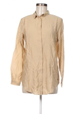 Damenbluse Zoot, Größe M, Farbe Beige, Preis 8,99 €