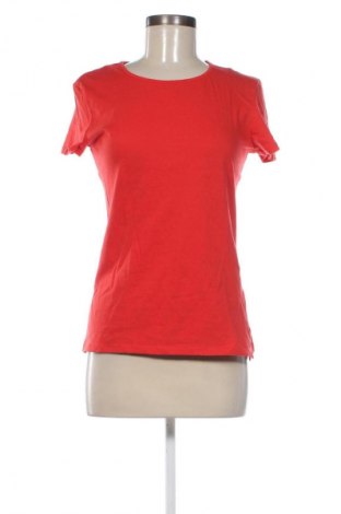 Damen T-Shirt Terranova, Größe L, Farbe Rot, Preis 6,65 €