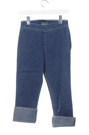 Damen Jeans Dakota, Größe S, Farbe Blau, Preis € 10,99