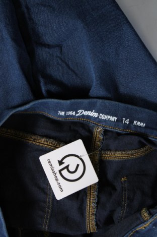 Dámské džíny  The 1964 Denim Company, Velikost L, Barva Modrá, Cena  209,00 Kč