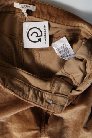 Damen Cordhose Esprit, Größe S, Farbe Beige, Preis € 5,99