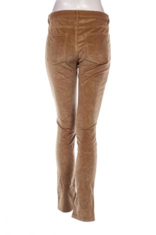 Damen Cordhose Esprit, Größe S, Farbe Beige, Preis € 5,99