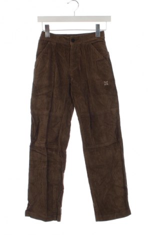 Pantaloni de velvet de femei Oxbow, Mărime XS, Culoare Maro, Preț 237,47 Lei