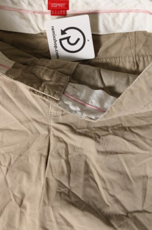 Damen Shorts Esprit, Größe M, Farbe Beige, Preis 12,49 €