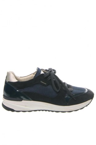 Damenschuhe Geox, Größe 39, Farbe Blau, Preis € 32,99