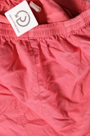 Damenhose, Größe L, Farbe Rosa, Preis € 13,49