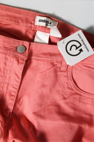 Damenhose Ambria, Größe L, Farbe Orange, Preis € 6,99