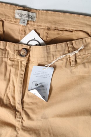 Damenhose Blue Motion, Größe L, Farbe Beige, Preis € 15,49