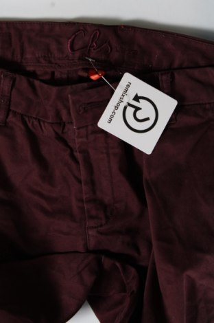 Damenhose Clockhouse, Größe S, Farbe Rot, Preis 6,49 €