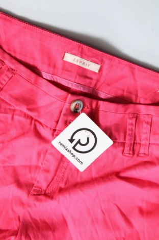 Damenhose Esprit, Größe L, Farbe Rosa, Preis € 12,99