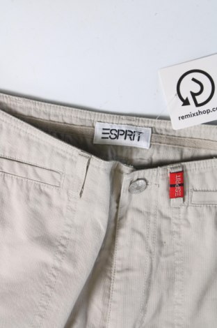 Damenhose Esprit, Größe M, Farbe Grau, Preis 13,99 €