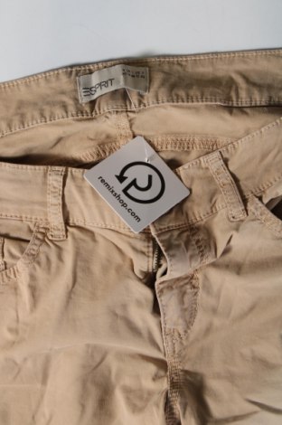 Damenhose Esprit, Größe M, Farbe Beige, Preis 28,79 €