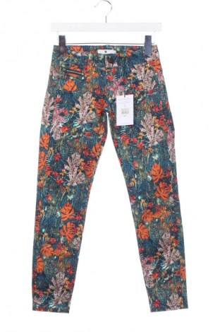 Damenhose Freeman T. Porter, Größe XXS, Farbe Mehrfarbig, Preis € 29,99