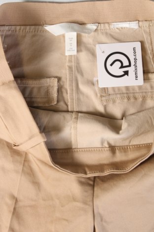 Damenhose H&M, Größe M, Farbe Beige, Preis € 6,49