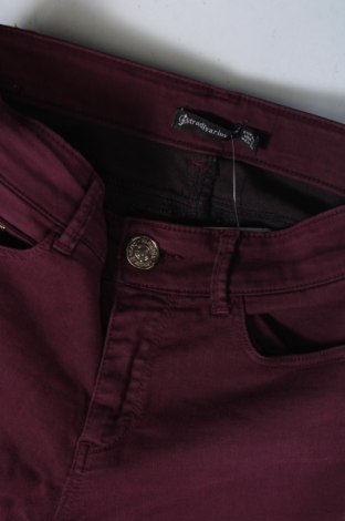 Damenhose Stradivarius, Größe XS, Farbe Lila, Preis € 8,49