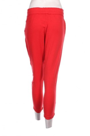 Damenhose Terranova, Größe S, Farbe Rot, Preis € 9,49