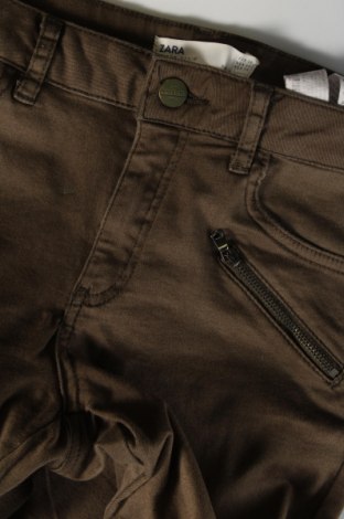 Damenhose Zara, Größe M, Farbe Grün, Preis € 8,49