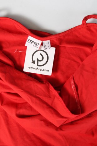 Damentop Esprit de Corp, Größe L, Farbe Rot, Preis € 3,99