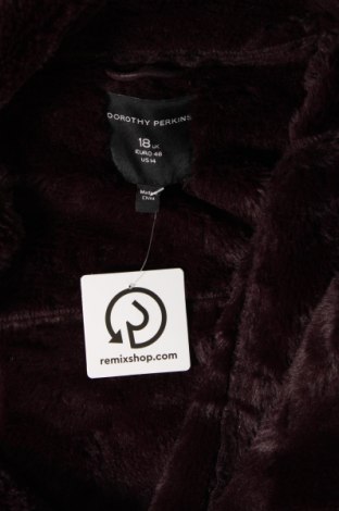 Dámský kabát  Dorothy Perkins, Velikost XL, Barva Fialová, Cena  1 199,00 Kč