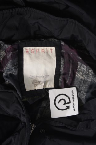 Damenjacke Esprit, Größe L, Farbe Schwarz, Preis € 23,99