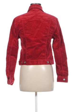 Damenjacke H&M Divided, Größe XS, Farbe Rot, Preis 15,49 €