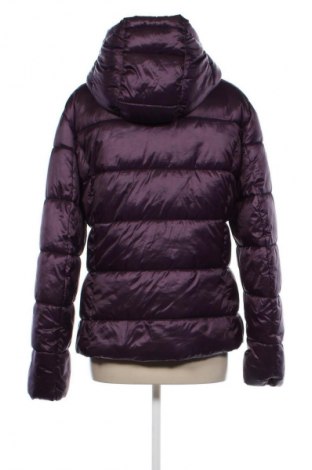 Damenjacke Terranova, Größe XL, Farbe Lila, Preis € 21,49