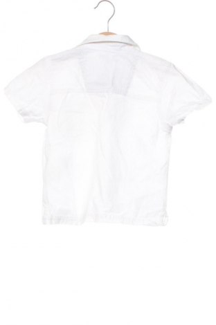 Kinder Shirt In Extenso, Größe 18-24m/ 86-98 cm, Farbe Weiß, Preis € 3,99