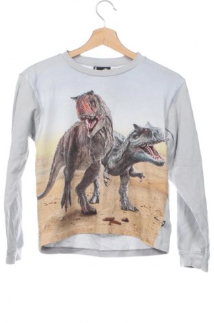 Kinder Shirt Molo, Größe 8-9y/ 134-140 cm, Farbe Mehrfarbig, Preis 9,99 €