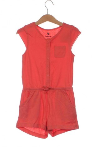 Kinder Overall Lupilu, Größe 2-3y/ 98-104 cm, Farbe Orange, Preis € 9,99